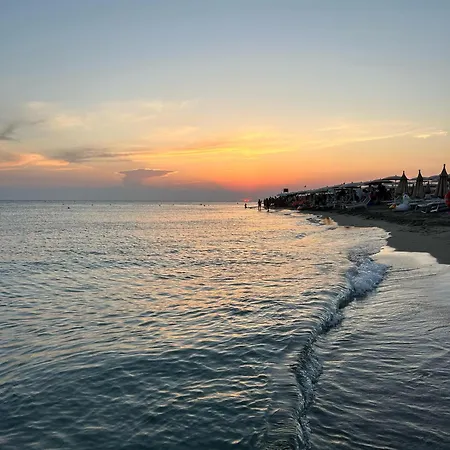 Dom wakacyjny Zolla's House