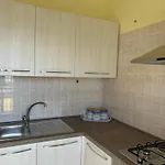 Zolla's House Tatil Evi *