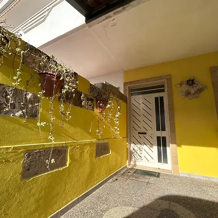 Zolla's House *