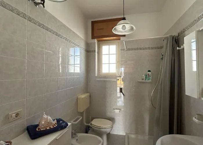 Zolla's House טורה מוצה